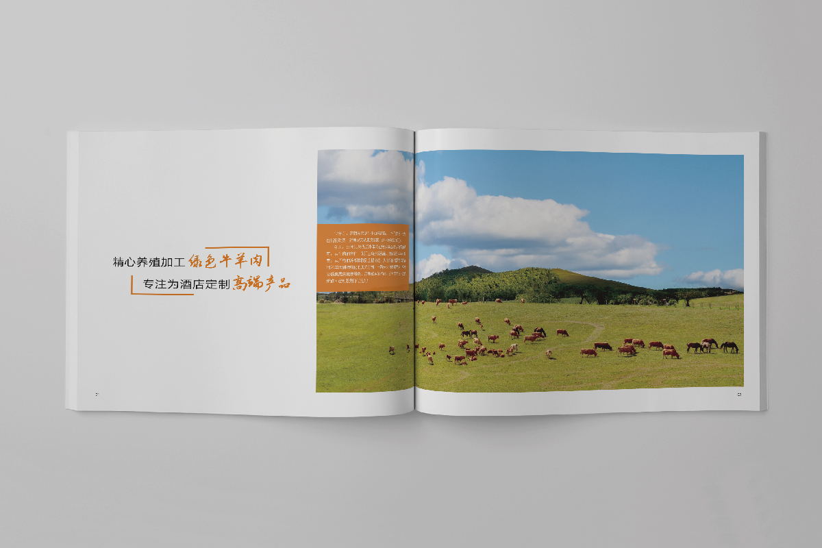 1532325504113674.jpg 圖片關鍵詞